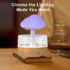 Rain Cloud Humidifier Night Light