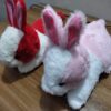 Cute Rabbit Plush Toy for Kids – Soft Small Rabbit Doll, Bunny Stuffed Toy Gift for Children