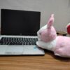 Cute Rabbit Plush Toy for Kids – Soft Small Rabbit Doll