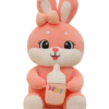 Rabbit Plush Toy